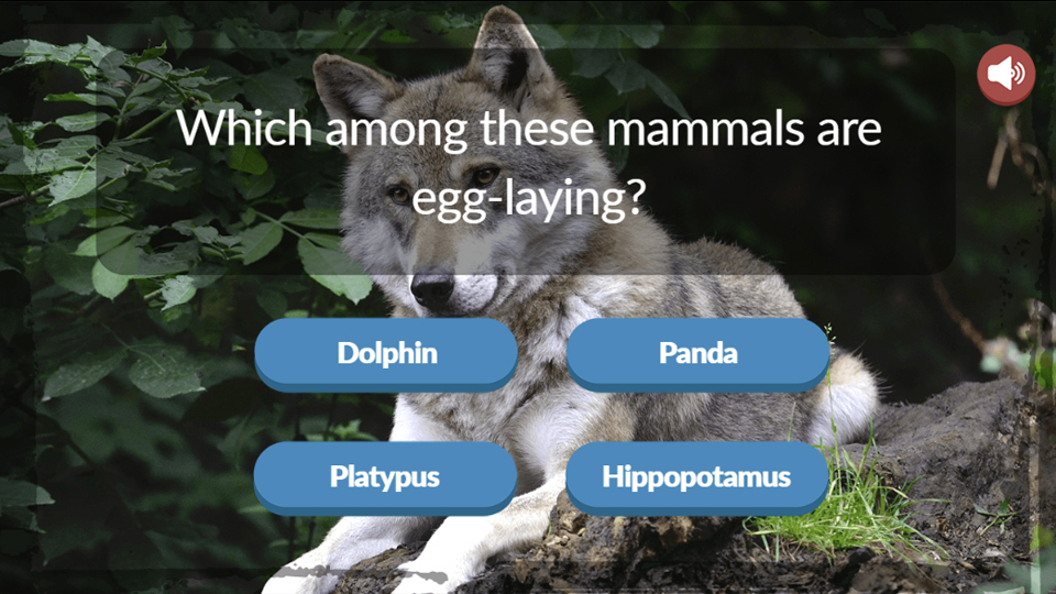 Animal Trivia