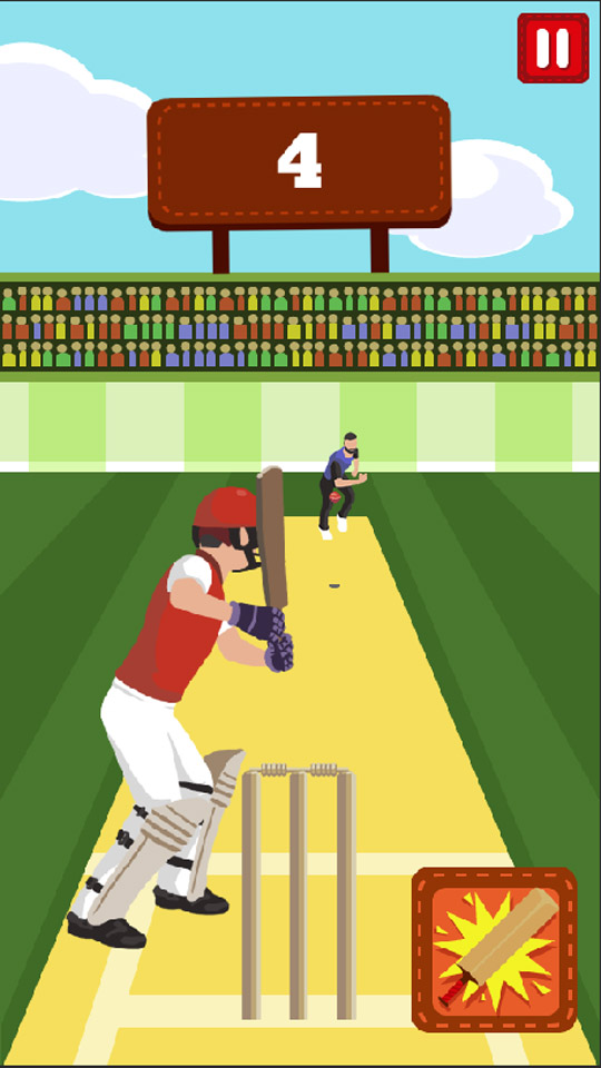 Pro Cricket Champion